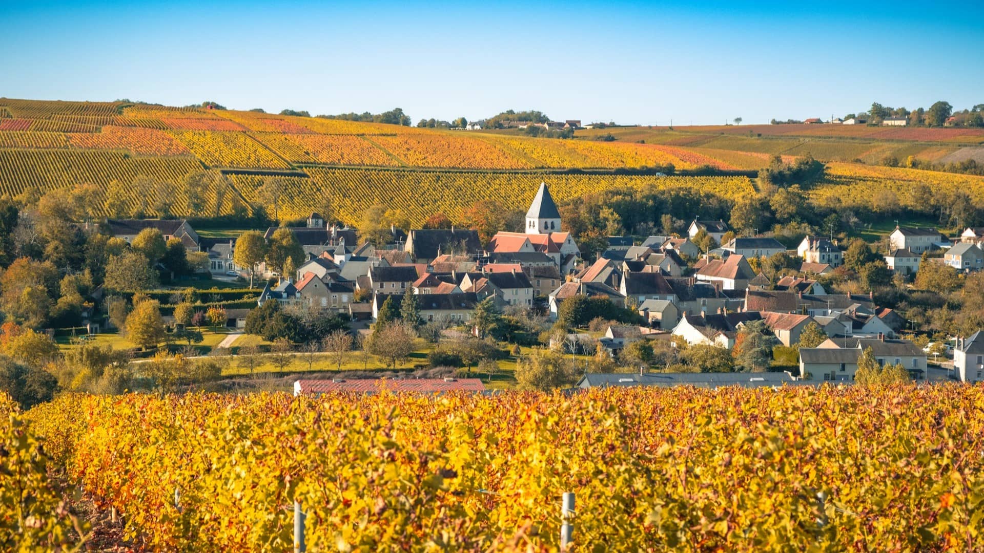 Géofoncier : portail particulier ou expert ?